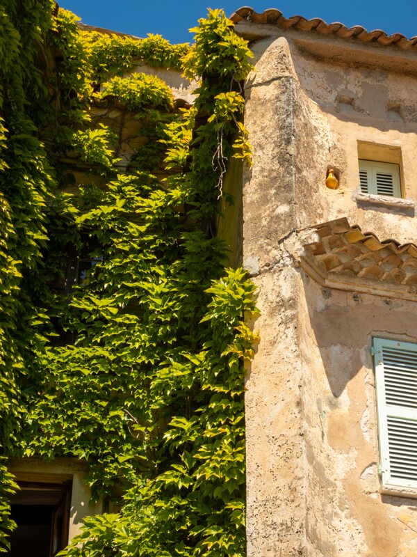 Èze village France  2025-05-15 1-2