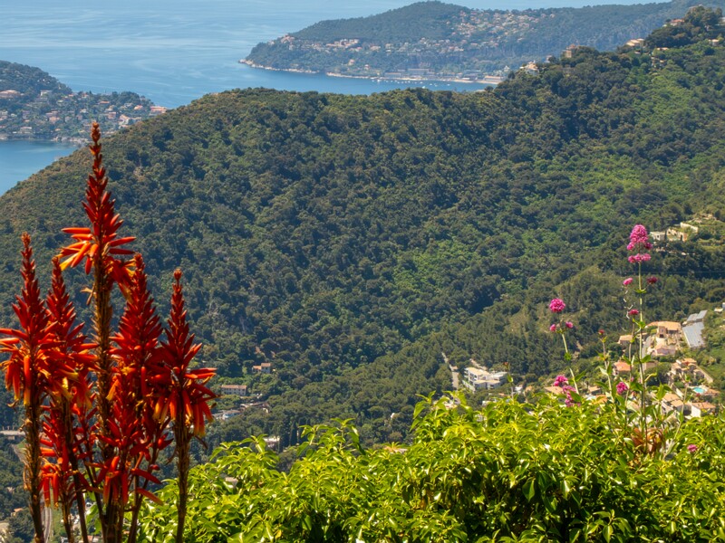 Jardin Exotique d’Èze  2025-05-15 1-10