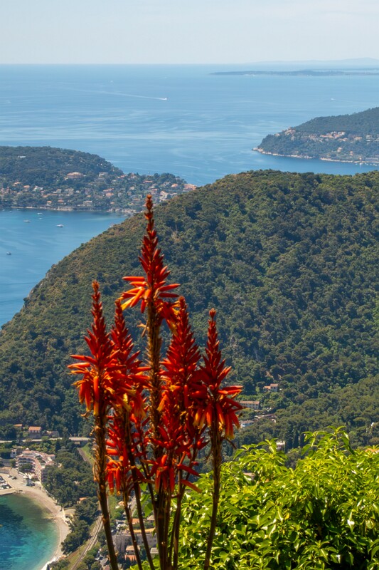 Jardin Exotique d’Èze  2025-05-15 1-11