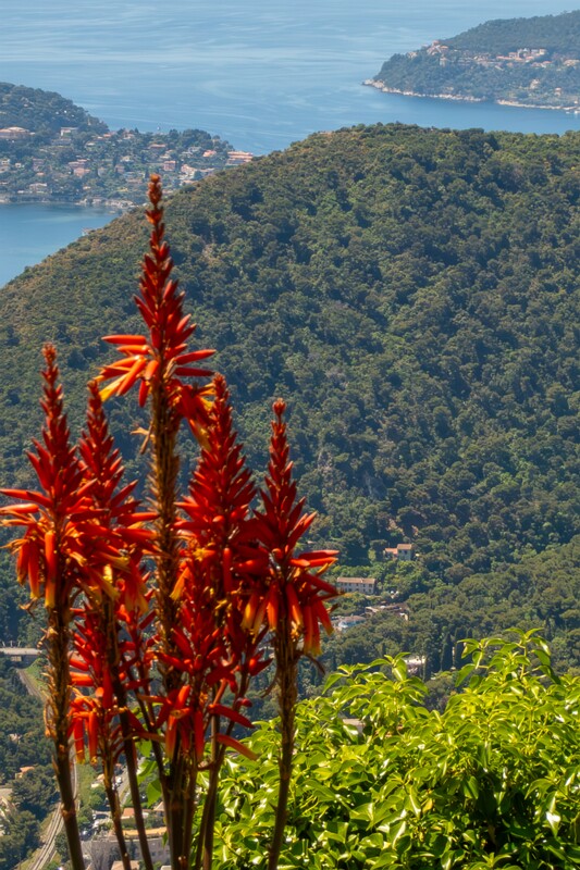 Jardin Exotique d’Èze  2025-05-15 1-12