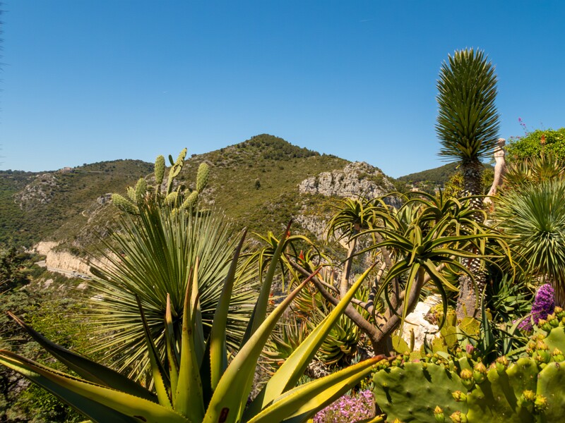 Jardin Exotique d’Èze  2025-05-15 1-5