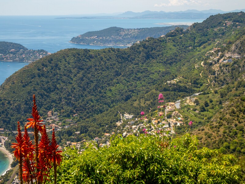 Jardin Exotique d’Èze  2025-05-15 1-9