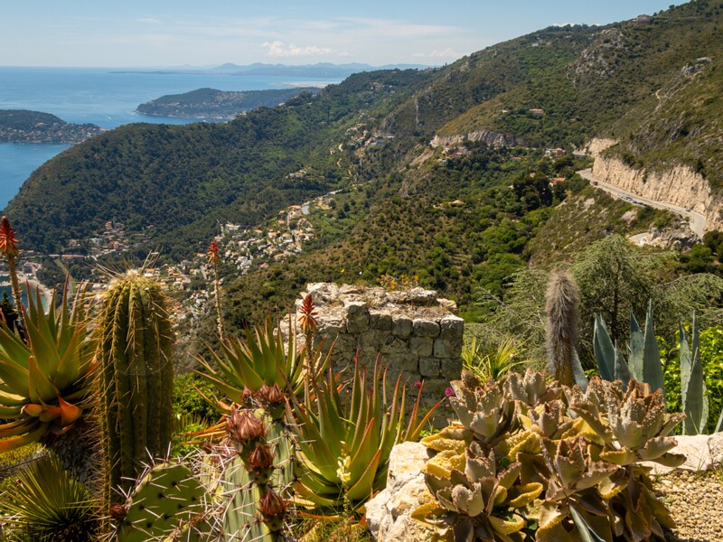 Jardin Exotique d’Èze  2025-05-15 2-1