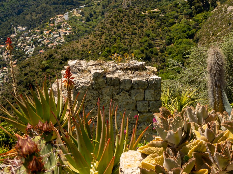 Jardin Exotique d’Èze  2025-05-15 2-2