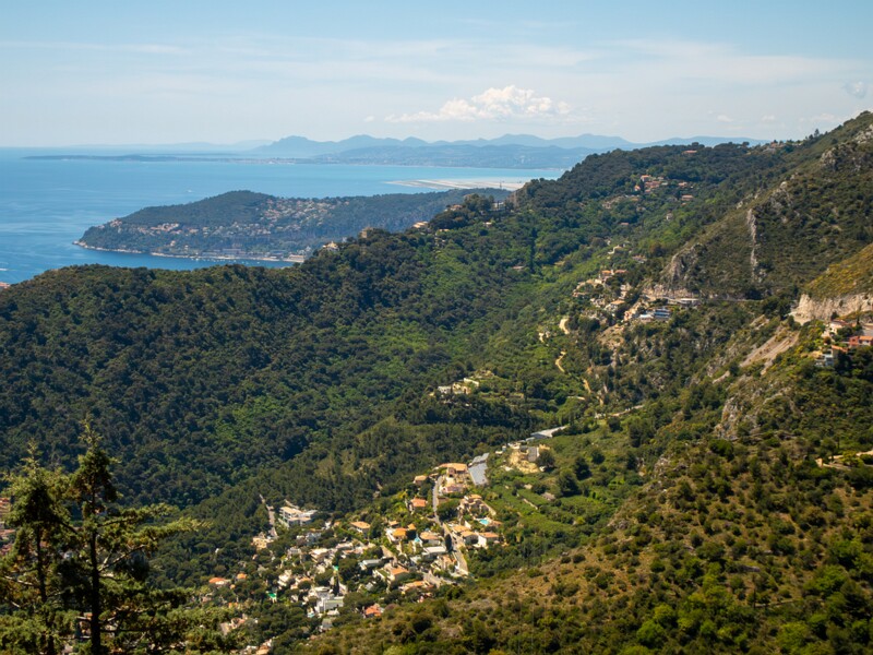 Point de Vue du Jardin Exotique  2025-05-15 1-1