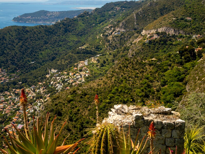 Point de Vue du Jardin Exotique  2025-05-15 1-11