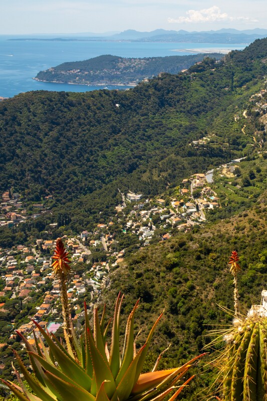 Point de Vue du Jardin Exotique  2025-05-15 1-12