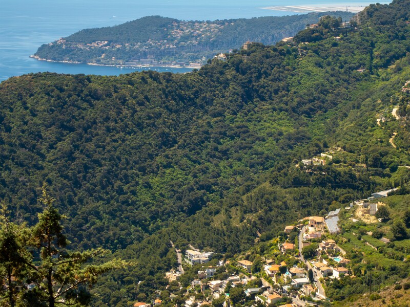 Point de Vue du Jardin Exotique  2025-05-15 1-2