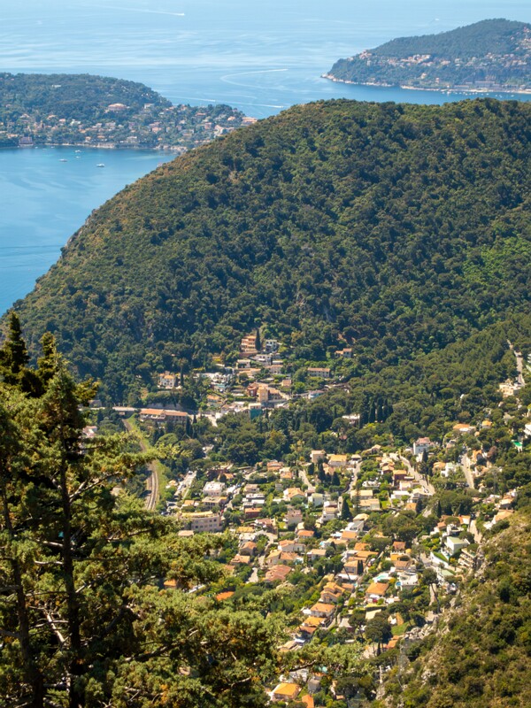 Point de Vue du Jardin Exotique  2025-05-15 1-3