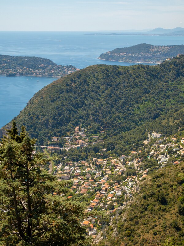 Point de Vue du Jardin Exotique  2025-05-15 1-4