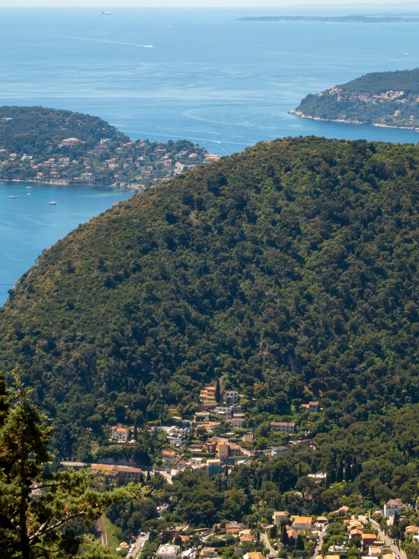 Point de Vue du Jardin Exotique  2025-05-15 1-5