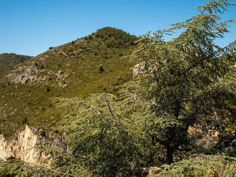 Point de Vue du Jardin Exotique  2025-05-15 1-7