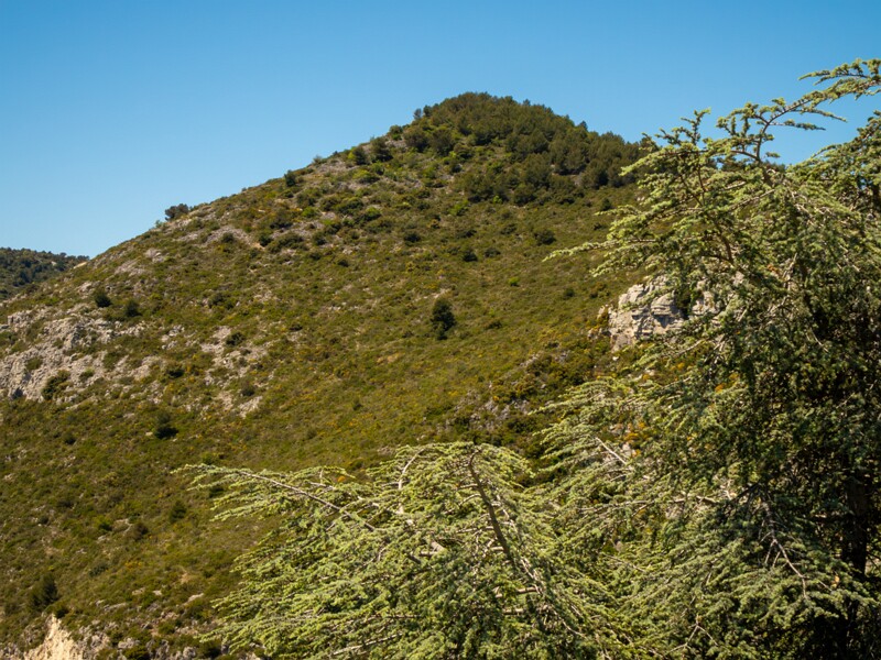 Point de Vue du Jardin Exotique  2025-05-15 1-8