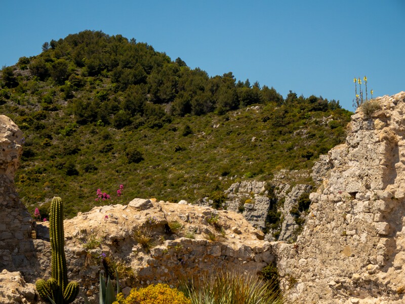 Point de Vue du Jardin Exotique  2025-05-15 2-10