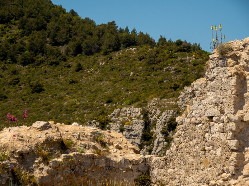 Point de Vue du Jardin Exotique  2025-05-15 2-11