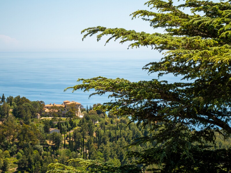 Point de Vue du Jardin Exotique  2025-05-15 2-12