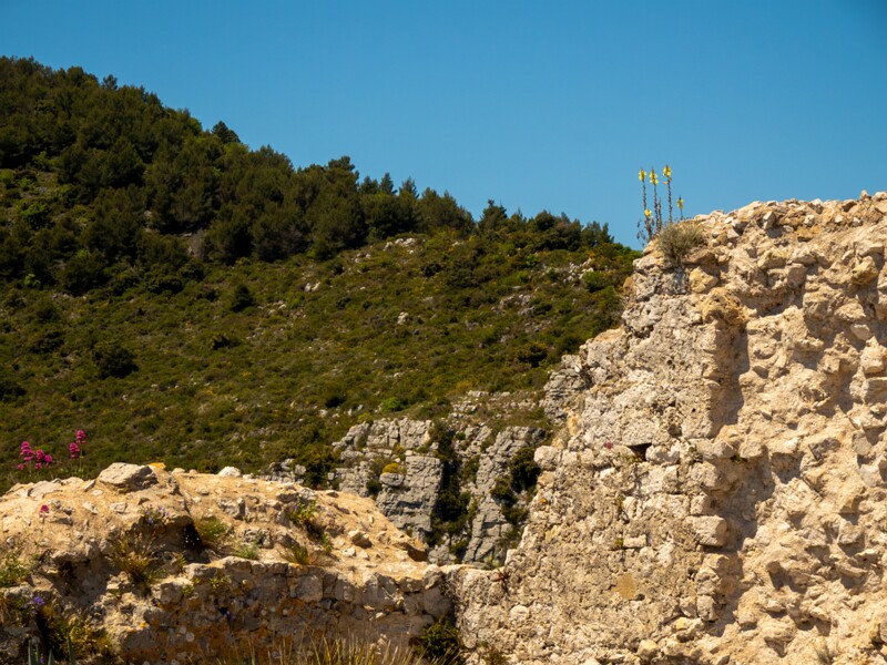 Point de Vue du Jardin Exotique  2025-05-15 2-5