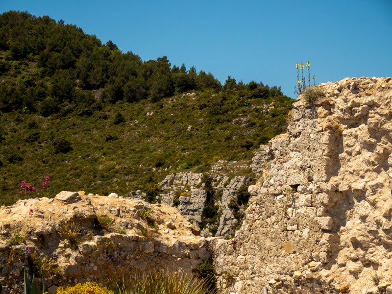 Point de Vue du Jardin Exotique  2025-05-15 2-6