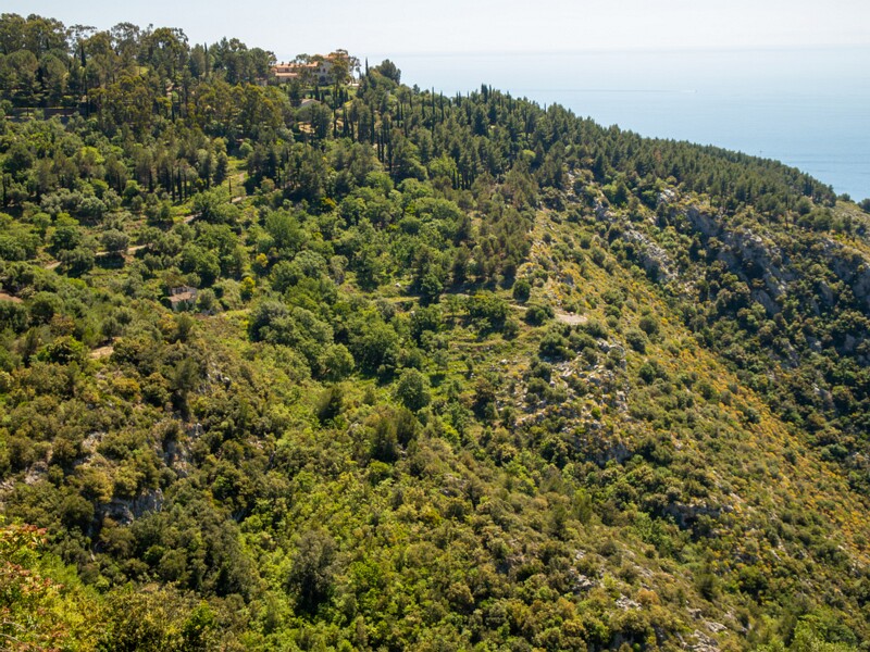 Point de Vue sur la baie  2025-05-15 1-2