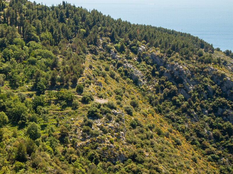 Point de Vue sur la baie  2025-05-15 1-3