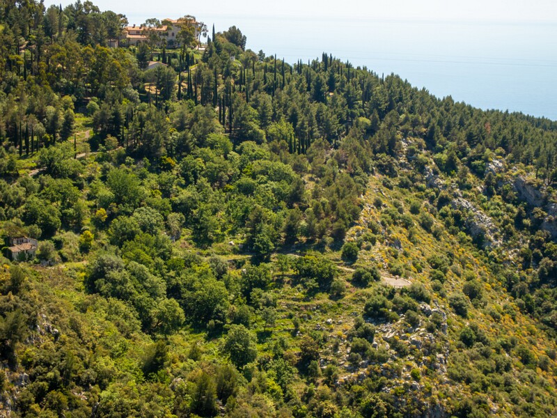 Point de Vue sur la baie  2025-05-15 1-7