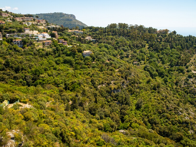 Point de Vue sur la baie  2025-05-15 1-8