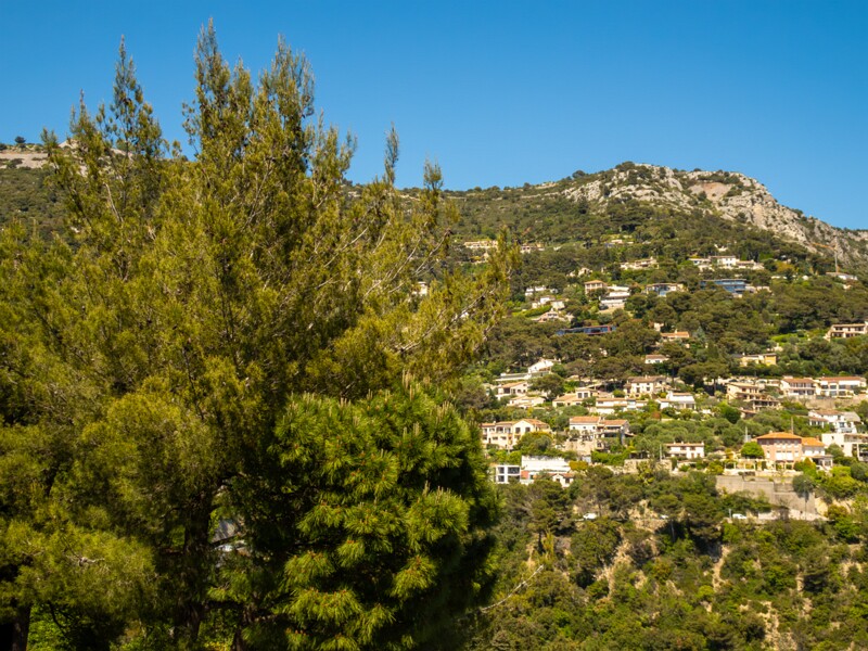 Point de Vue sur la baie  2025-05-15 2-1