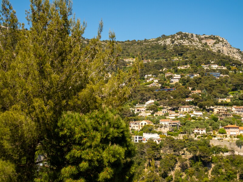 Point de Vue sur la baie  2025-05-15 2-2