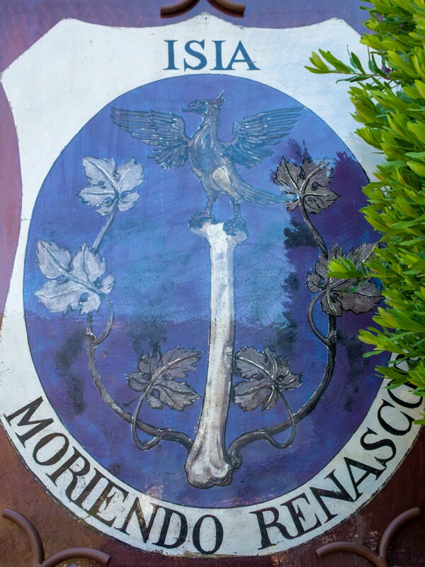 Isia Moriendo Renascor  2025-05-15 1-1