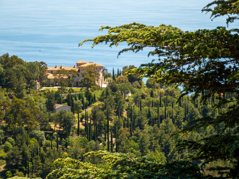 Point de Vue du Jardin Exotique