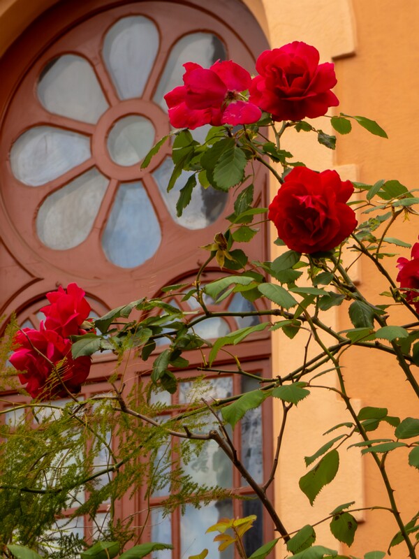 Eglise Réformée de Menton  2025-05-16 1-14