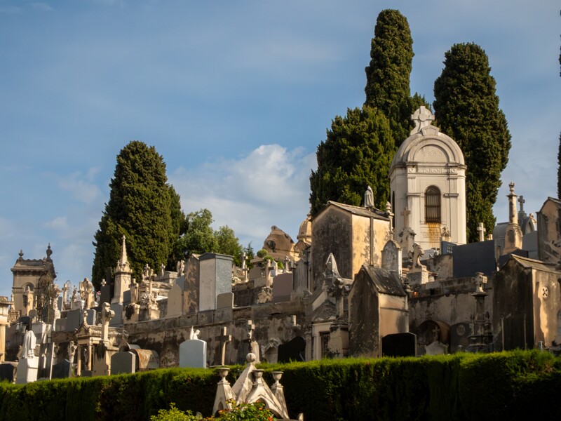 Cimetière du Château  2025-05-11 1-7