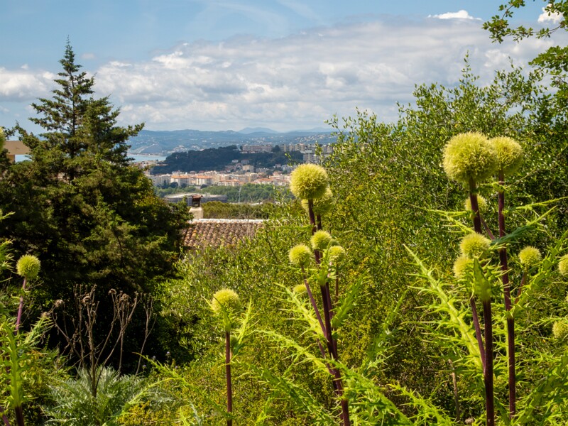 Jardin botanique de Nice  2025-05-13 1-5