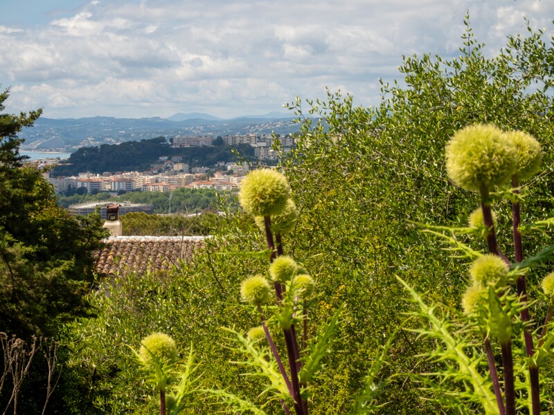 Jardin botanique de Nice  2025-05-13 1-6