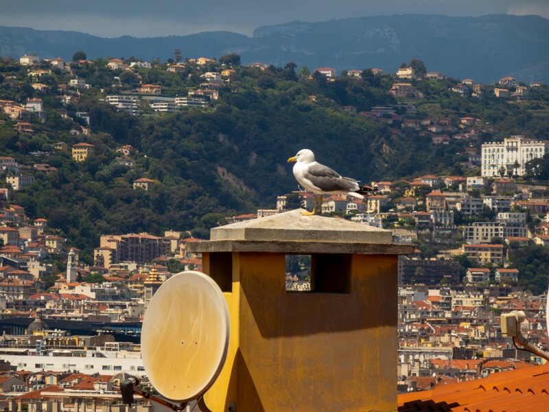 Panorama sur la Vieille Ville de Nice  2025-05-14 1-1
